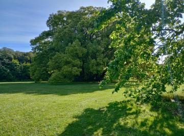 Terreno · 25000m² · Terreno en Venta - 25.000 m² - Estancia Benqueria, Monte