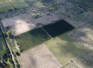 Campo · Finca en La Llave