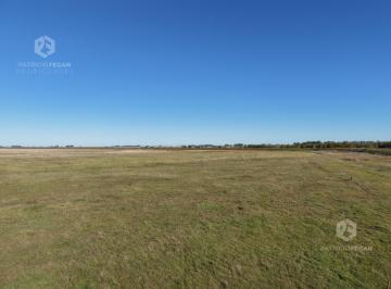 Campo · 790000m² · Campo de 79 Hectáreas Sobre Ruta