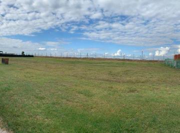Terreno · 800m² · Venta Terreno en San Sebastian, Escobar - Loma Verde