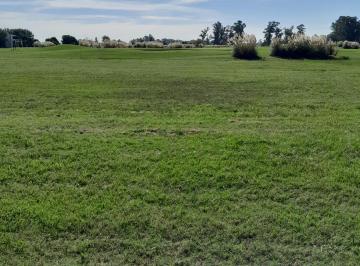 Terreno · 1284m² · Lote Venta Country San Eliseo Interno Golf Sum Seguridad