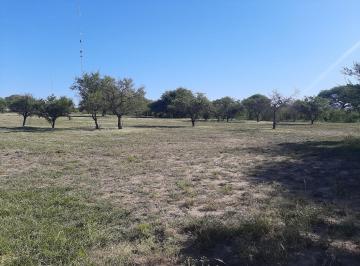 Terreno , Santa Ana · Dueño Vende