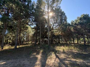 SCZ-SCZ-261_2 · Venta Lote en Exclusivo Barrio Pioneros