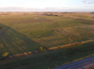 Campo , Las Flores · Campo en Venta a Tranquera Cerrada – 60 Ha – Las Flores (Ruta 3)