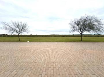 Terreno · 350000m² · Terreno en Venta en Acquavista 350 m² - Cerca de La Laguna