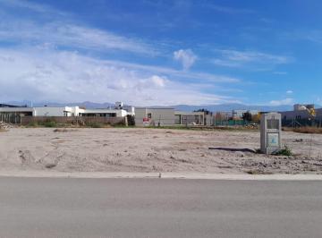 Terreno , Luján de Cuyo · Terreno Lar de Boedo 504 m