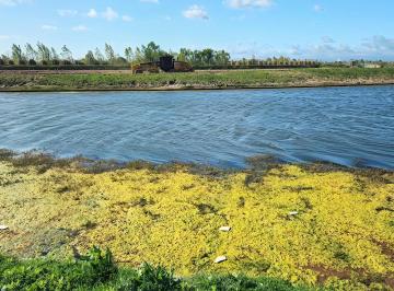 Terreno · 973m² · Venta Lote Al Lago Barrio Amarras Puertos del Lago Escobar Uf:537