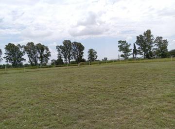 Terreno , Córdoba · Terreno en Venta 7500 m, El Palmar, Ferreyra, Zona Parque Industrial