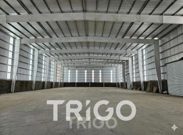 Bodega-Galpón · 900m² · 1 Ambiente · Depósito en Alquiler 900 m² Polo Industrial Ezeiza Seguridad 24hs