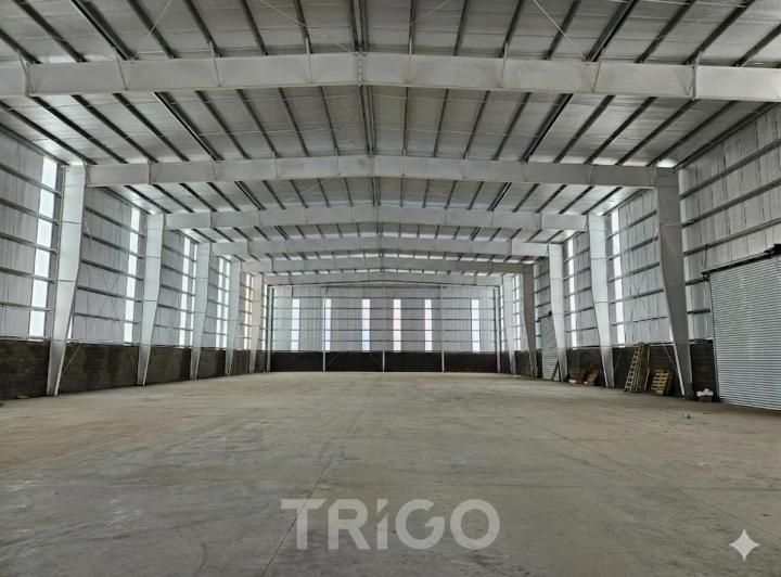 Bodega-Galpón · 900m² · 1 Ambiente