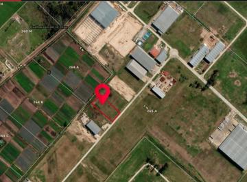 Terreno · 7156m² · Lote Nro. 33 en Venta de 6.310 m² en Parque Industrial Ruta 6