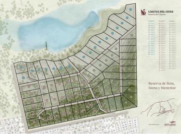 Terreno · 36627m² · Chacra en Barrio Chacras Laguna del Cisne - Zona Laguna