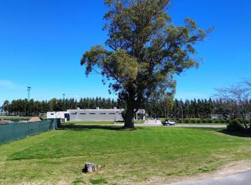 Terreno · 870m² · Terreno en Venta Greenville Polo & Resort