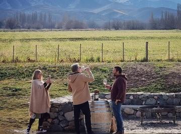 Terreno , Tupungato · Terreno de 20.000 m² en Finca Atamisque