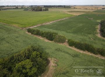 Campo · 3000000ha · Campo en Venta de 300 Has en Lobos