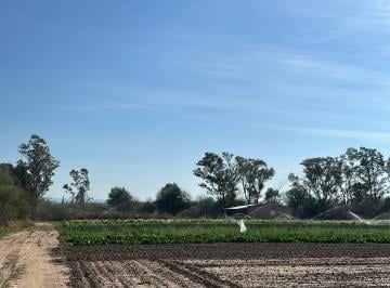 Campo de 5 ambientes, Villa Dolores · Campo en Venta 27ha, San Pedro, Villa Dolores.