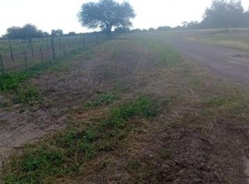 Campo , Garza · Campo Ganadero