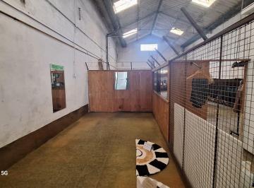 Bodega-Galpón · 206m² · Galpón en Bernal Oeste