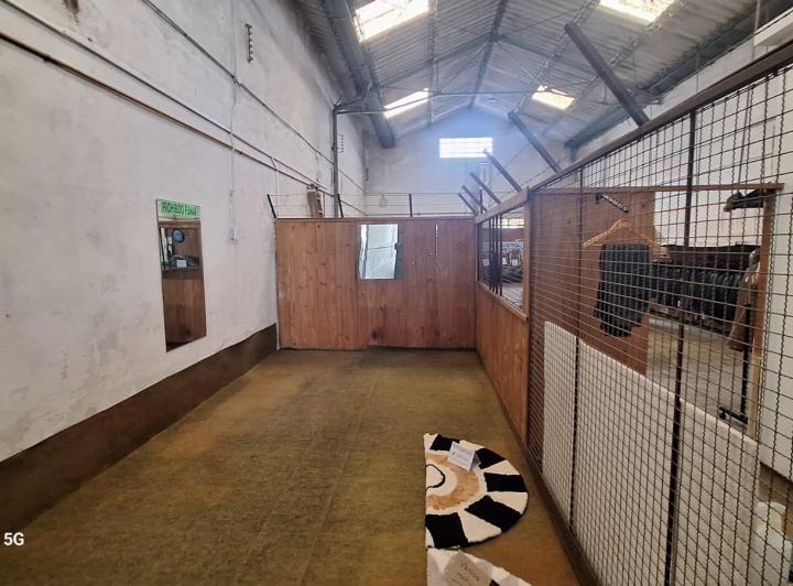Bodega-Galpón · 206m² · 3 Ambientes · 1 Cochera