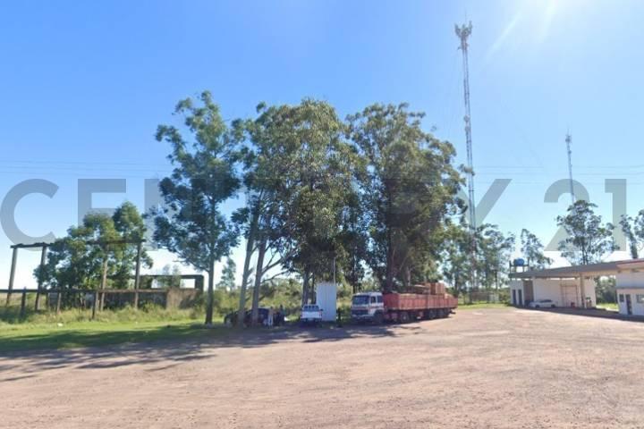Campo · 39400m²