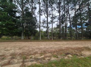 Terreno · 5000m² · Terreno 5000 m² en San Clemente - a 2 Cuadras de La Ruta -