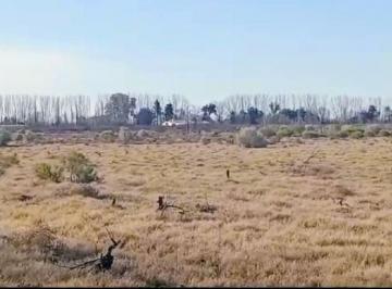 Terreno · 100ha · Amplia Finca en Real del Padre