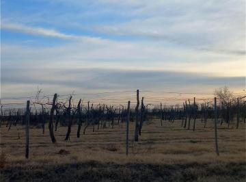 Terreno · 31ha · Amplia Finca en Real del Padre