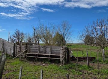 Campo · 155m² · 6 Ambientes · 3 Cocheras · Campo en Venta Sobre Ruta 2 Chascomus