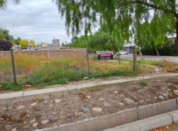 Terreno , Tunuyán · Terreno de 274 m² en Venta en Tunuyán
