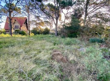 Foto1 · Terreno en Venta - Pinares
