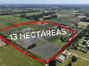 Campo · 1300000m² · Venta Campo 13 Ha, Oportunidad de Inversion