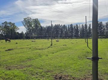 Campo · 98000m² · Terreno Campo en Venta en Los Cardales, Exaltación de La Cruz, G. B. a. Zona Norte