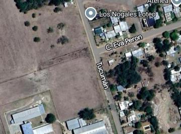 Terreno · 271m² · Venta Lote de Terreno Listo Para Construir - Oliveros