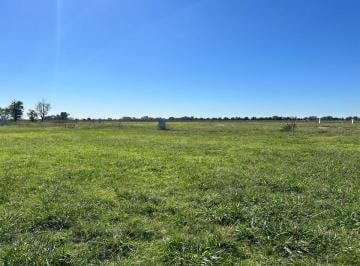 Terreno , San Vicente · Venta Canning - San Vicente Barrio Cerrado Los Colibries Lote a La Laguna 769 M&sup2;!