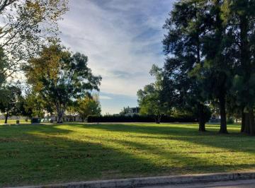 Excelente Lote en dimensiones y ubicación en una cuadra donde predomina las prop · Venta Lote Barrio La Victoria Polo Country Club