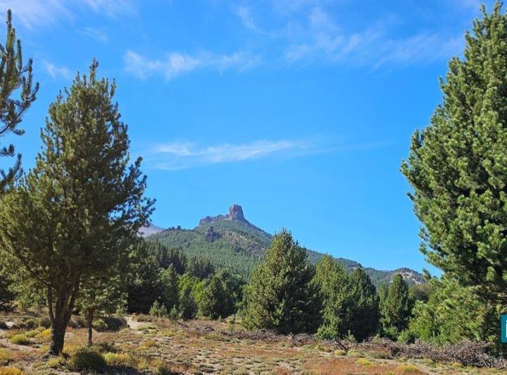 Terreno · 2000m²