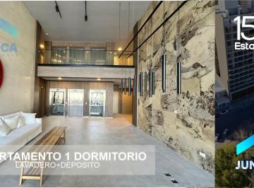 Departamento · 45m² · 2 Ambientes · Departamento de 1 Dormitorio con Lavadero Externo en Edificio La Estación 153