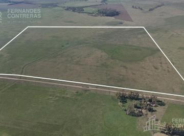 Campo · 650000m² · En Venta 65 Has - Cañuelas