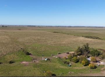 Campo · 2000000m² · Campo Para Arrendar en Vieytes (Bs As)
