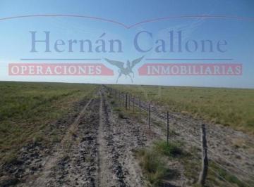 Campo · 55600000m² · 1 Ambiente · Campo en Alquiler. 5560 Ha Santiago del Estero