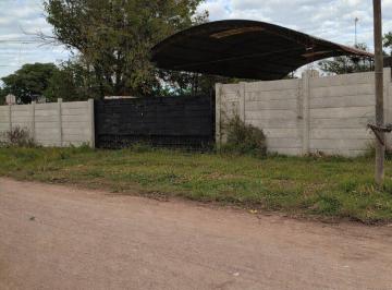 Bodega-Galpón · 500m² · Venta Galpon Zona Av Fuerza Aerea y Cpc: