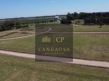 Terreno · 1000m² · Mgm. Espectacular Lote en Barrio El Cardal III