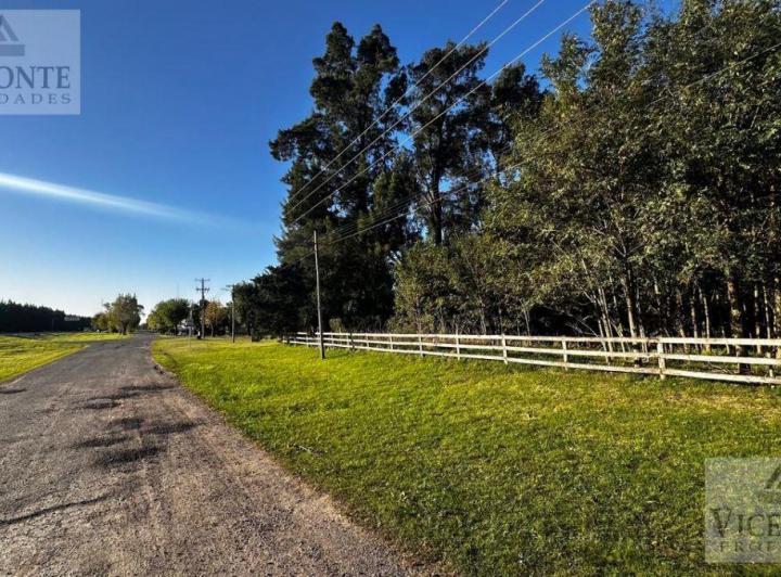 Terreno · 2500m²