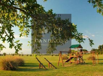 Terreno · 890m² · Espectacular Lote en Area 1 - San Sebastian. José Hernández