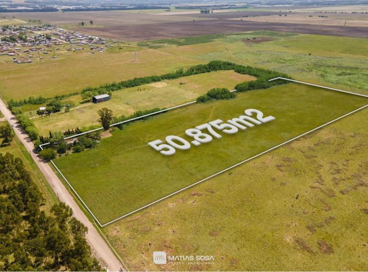 Campo · 50875m²