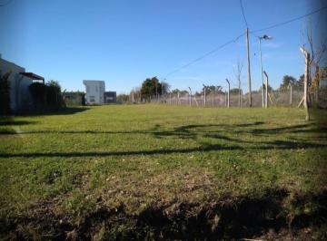Terreno · 772m² · Lote en Venta en Gorina 135 y 478
