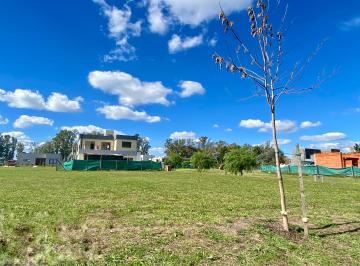 Terreno , Pilar · Venta Permuta Terreno Lote Barrio Santa Elisa Pilar del Este.