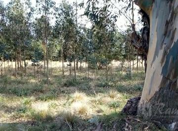 Terreno · 300m² · Lote Terreno en Venta 300 m² - Necochea