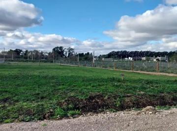 Terreno · 420m² · Terreno en Venta - 420 m² - Abasto, La Plata