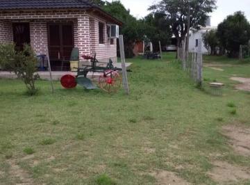 Campo · 280m² · 8 Ambientes · 4 Cocheras · Campo en Venta - 193.000 m² - Mina Clavero